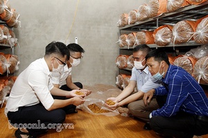 Sốp Cộp đồng hành tiêu thụ nông sản cho người dân