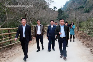 Đồng chí Bí thư Thành ủy kiểm tra mô hình trồng quýt bản địa và làm đường giao thông tại xã Chiềng Cọ