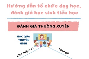 Hướng dẫn tổ chức dạy học, đánh giá học sinh tiểu học