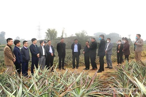 Thứ trưởng Bộ NN và PTNT khảo sát Đề án vùng nguyên liệu tại tỉnh Sơn La