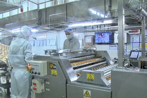 Người lao động làm thêm không quá 300 giờ một năm