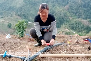 Năng động phát triển kinh tế