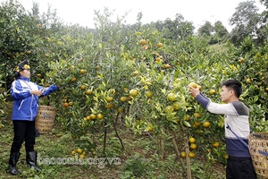 Đổi thay trên vùng quê biên giới