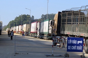 Khẩn trương khắc phục tình trạng ùn tắc nông sản ở cửa khẩu