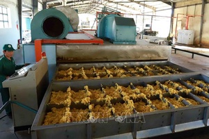 Hàng Việt Nam có nhiều dư địa xuất khẩu sang thị trường Liên bang Nga