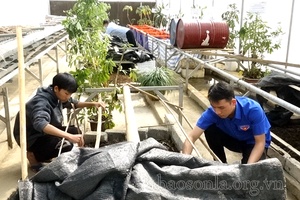 Khơi dậy tinh thần khởi nghiệp của thanh niên