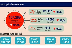 Gam màu xám vẫn chủ đạo trong "bức tranh" du lịch Việt Nam 2021