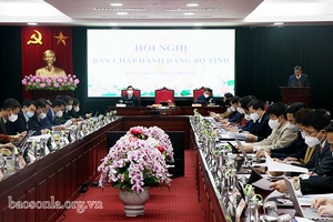 Hội nghị Ban Chấp hành Đảng bộ tỉnh