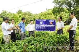 Dấu ấn khoa học công nghệ