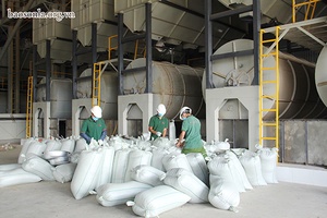 Đưa thương hiệu cà phê Sơn La ra thị trường thế giới