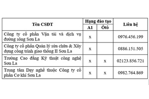 Cảnh giác với lời mời chào bán GPLX giả, bao đỗ thi cấp GPLX