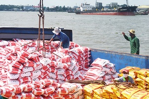 Dấu ấn hạt gạo Việt Nam