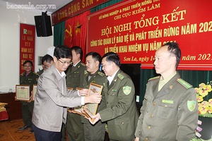 Năm 2021, phấn đấu tăng độ che phủ rừng đạt 46,4%