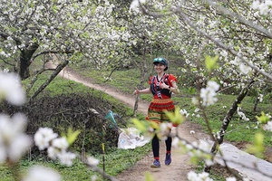 Trên 4.100 vận động viên tham dự giải Marathon đường mòn Việt Nam năm 2021 tại Mộc Châu