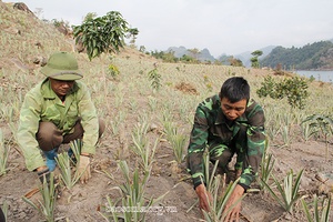 Cầu nối chuyển giao khoa học kỹ thuật cho người dân