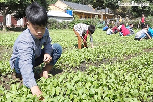 Đảm bảo an toàn vệ sinh thực phẩm bếp ăn bán trú