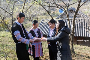 Dán tem đào trồng, nông dân vui như Tết