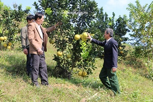 CCB Mường Lang thi đua phát triển kinh tế