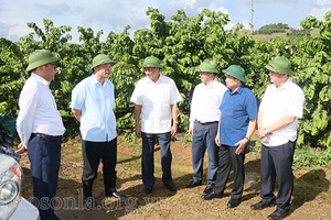 Khởi sắc nông nghiệp, nông thôn