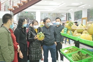 Thuận Châu khai trương Trung tâm giới thiệu, trưng bày và bán các sản phẩm OCOP huyện