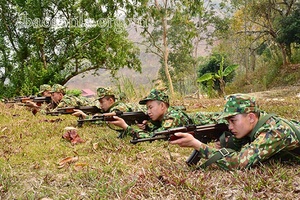 Bộ đội Biên phòng tỉnh đấu tranh phòng, chống ma túy