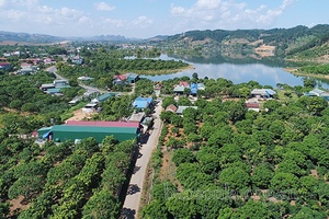 Kịch bản tăng trưởng 2021: Dấu ấn và triển vọng