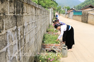 Những “Tuyến đường nở hoa” ở Phù Yên