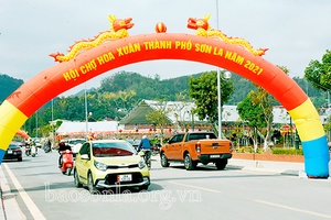 Đa dạng sắc hoa ngày Tết
