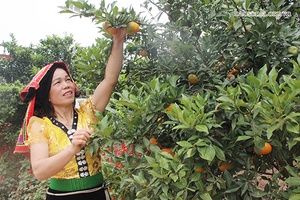 Tạo động lực giúp phụ nữ tự tin, năng động, phát triển