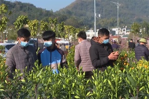 Đìu hiu chợ hoa ngày 30 Tết