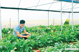 Thắp sáng khát vọng khởi nghiệp của tuổi trẻ