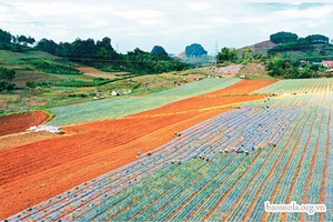 Trụ đỡ cho sản xuất nông nghiệp phát triển