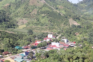Về nơi “đất lành chim đậu”