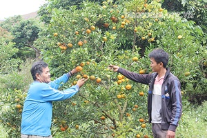 Xuân về Huổi Nhương