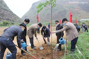 Thuận Châu và Bắc Yên ra quân trồng cây Xuân Tân Sửu