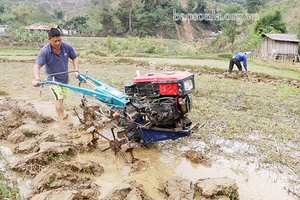 Sơn La vào vụ cấy lúa xuân