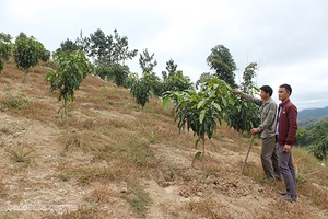 Púng Bánh tập trung xây dựng nông thôn mới