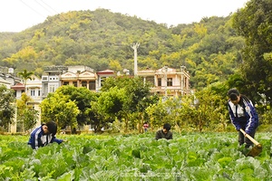 Thương lắm, những thiên thần bé nhỏ