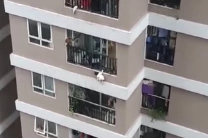 Cứu sống cháu bé 2 tuổi rơi từ tầng 12