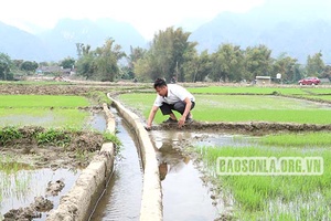 Phù Yên khai thác hiệu quả các công trình thủy lợi