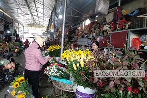 Thị trường hoa 8/3 trầm lắng