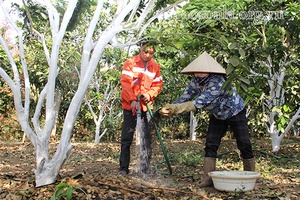 Những nghị quyết làm xoay chuyển ngành nông nghiệp