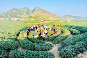 Phát động cuộc thi “Sáng tác tiêu đề - biểu tượng du lịch Mộc Châu” năm 2021
