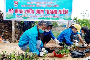 Xung kích, sáng tạo làm đẹp hơn diện mạo quê hương