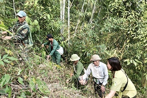 Chiềng Cọ chủ động phòng cháy, chữa cháy rừng