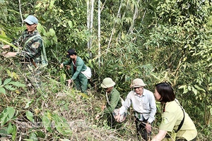 Chiềng Cọ chủ động phòng cháy, chữa cháy rừng