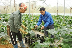 Vân Hồ chú trọng phát triển kinh tế hợp tác xã