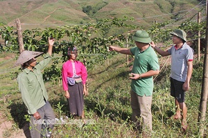Chăm lo đời sống đồng bào dân tộc thiểu số