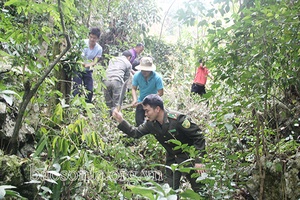 Giữ rừng mùa khô hanh