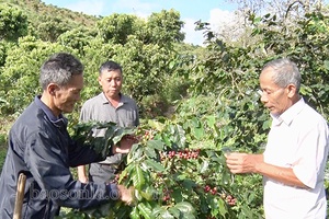 Phát huy vai trò tuổi cao, gương sáng